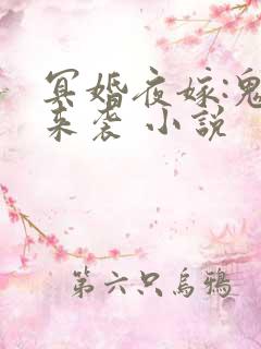 冥婚夜嫁:鬼夫来袭 小说
