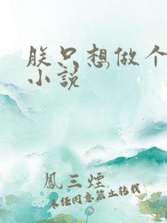 朕只想做个昏君小说