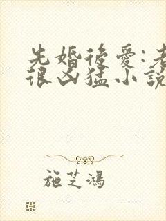 先婚后爱:老公很凶猛小说全本免费阅读