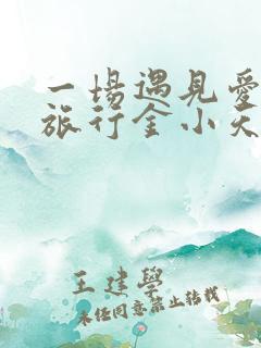 一场遇见爱情的旅行金小天李心月
