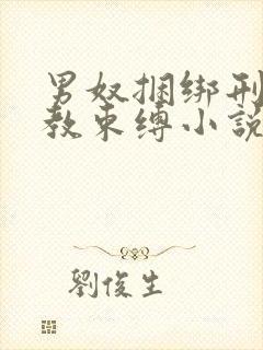 男奴捆绑刑具调教束缚小说