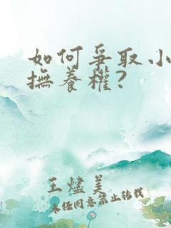 如何争取小孩的抚养权?