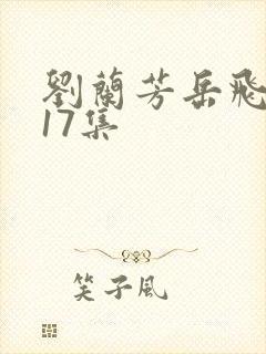 刘兰芳岳飞传117集