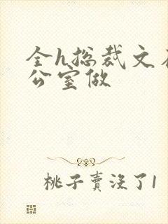 全h总裁文在办公室做
