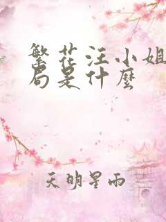 繁花汪小姐的结局是什么