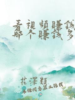 看视频赚钱软件哪个赚钱多又快
