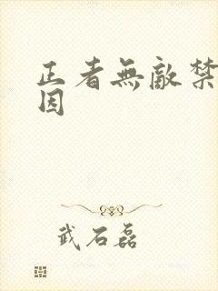 正者无敌禁播原因