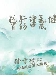 疏肝理气健脾和胃的中成