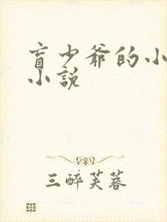 盲少爷的小女仆小说