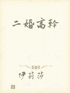 二婚高干