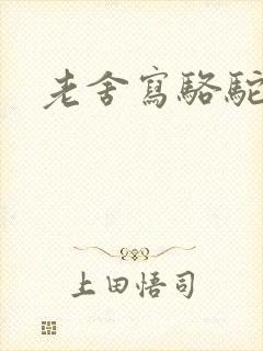 老舍写骆驼祥子