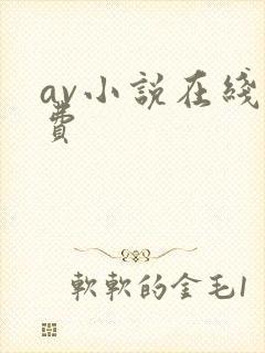 av小说在线免费