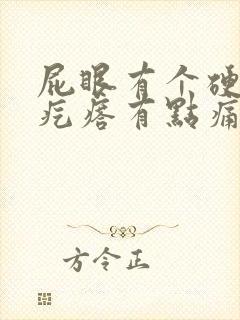 屁眼有个硬硬的疙瘩有点痛