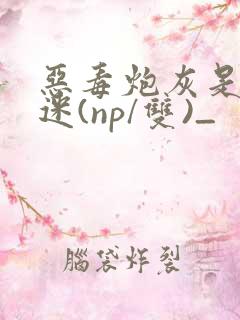 恶毒炮灰是万人迷(np/双)_