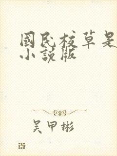 国民校草是女生小说版 国民校草是女生小说版