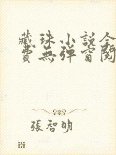 藏珠小说全文免费无弹窗阅读