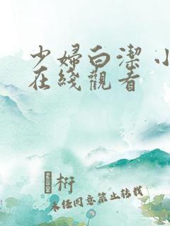 少妇白洁 小说在线观看
