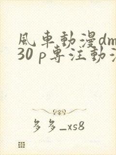 风车动漫dm530 p专注动漫的门户网站