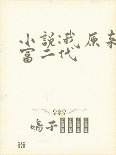 小说:我原来是富二代