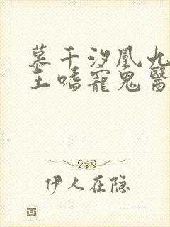 慕千汐凰九夜邪王嗜宠鬼医狂妃免费阅读