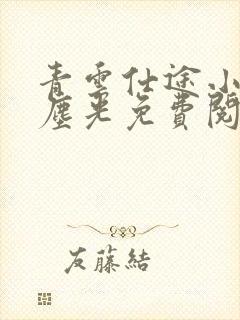 青云仕途小说杨尘光免费阅读