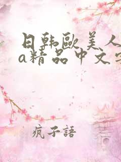 日韩欧美人妻va精品中文字幕