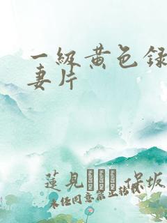 一级黄色录像夫妻片