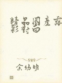 精品国产露脸精彩对白