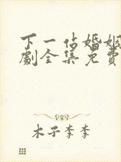 下一站婚姻电视剧全集免费观看