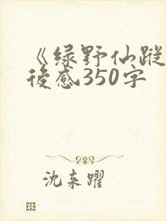 《绿野仙踪》读后感350字