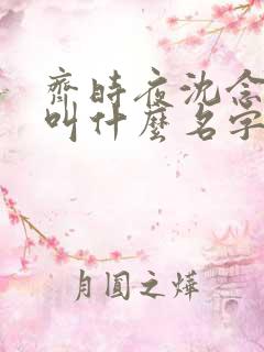 齐时夜沈念小说叫什么名字