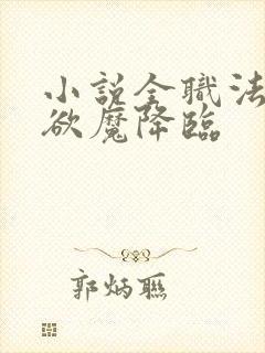 小说全职法师之欲魔降临