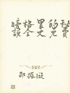 暗格里的秘密小说全文免费阅读