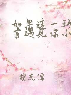 如果这一秒我没有遇见你小说