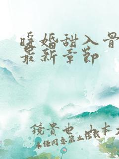 暖婚甜入骨小说最新章节