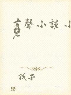 有声小说 小苮儿