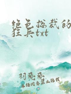 绝色总裁的极品狂兵txt