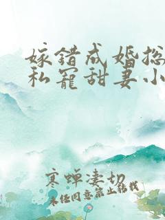 嫁错成婚总裁的私宠甜妻小说