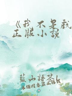 《我不是戏神》正版小说