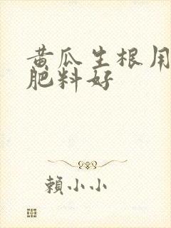 黄瓜生根用什么肥料好