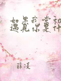 如果我当初没有遇见你是什么歌