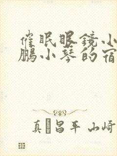 催眠眼镜小说王鹏小琴的宿舍