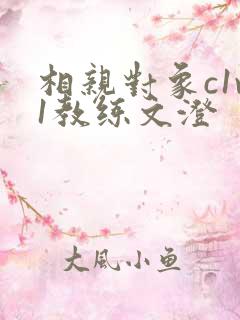 相亲对象c1v1教练文澄