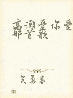 高潮爱你爱你是哪首歌