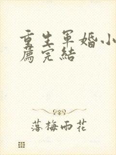 重生军婚小说推荐完结