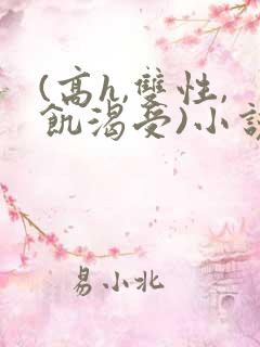 (高h,双性,饥渴受)小说
