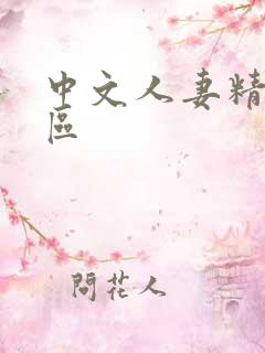 中文人妻精品一区