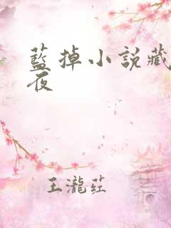 蓝掉小说藏于昼夜