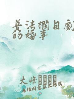 普法栏目剧小勇的婚事