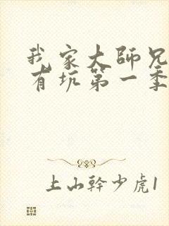 我家大师兄脑子有坑第一季动画免费